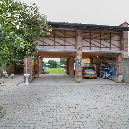 Spighe Paglia E Girasole