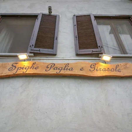 Spighe Paglia E Girasole Candia Canavese