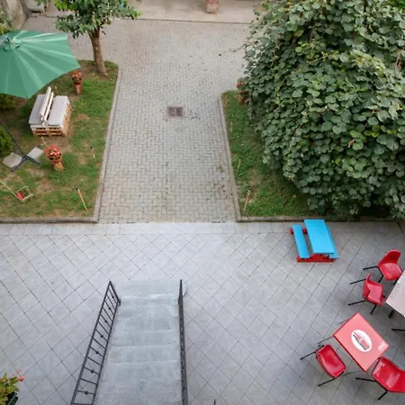 Spighe Paglia E Girasole Candia Canavese