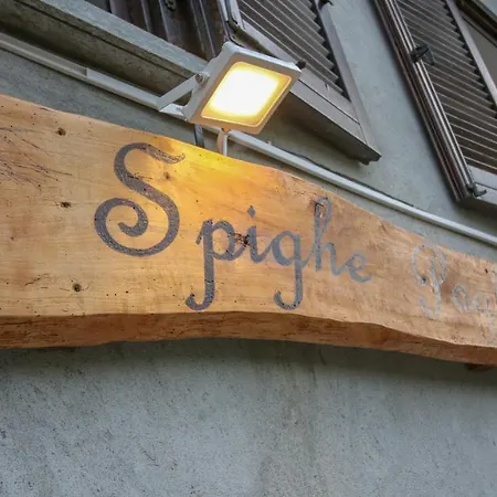 Bed and Breakfast Spighe Paglia E Girasole Candia Canavese