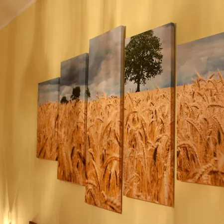 Bed & Breakfast Spighe Paglia E Girasole Candia Canavese