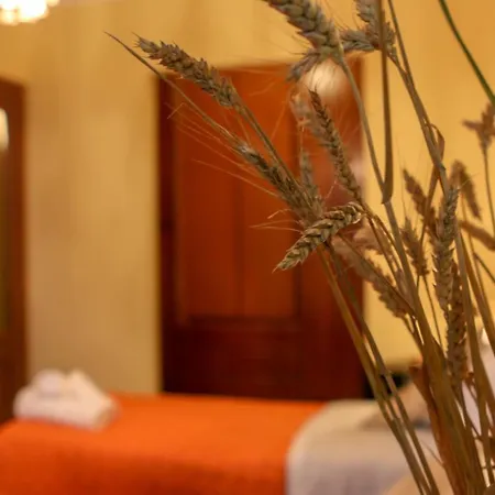 Oda ve Kahvaltı Spighe Paglia E Girasole