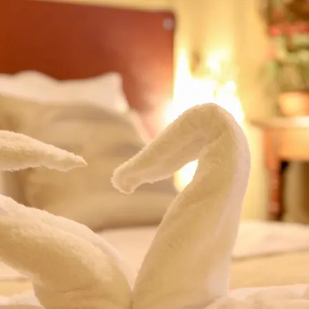 Spighe Paglia E Girasole