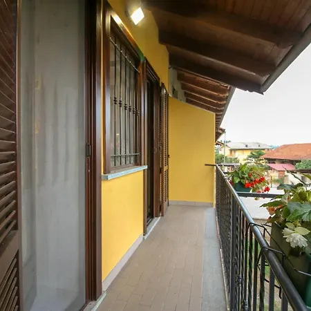 Spighe Paglia E Girasole 4*