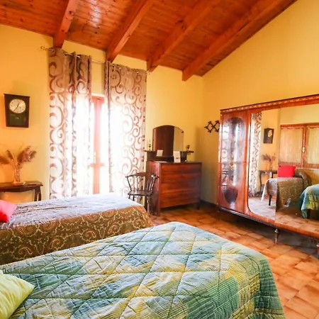 Spighe Paglia E Girasole Candia Canavese