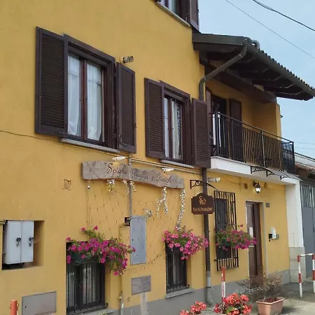 Spighe Paglia E Girasole Candia Canavese