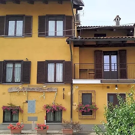 Bed & Breakfast Spighe Paglia E Girasole