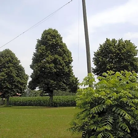 Spighe Paglia E Girasole Bed & Breakfast 4*