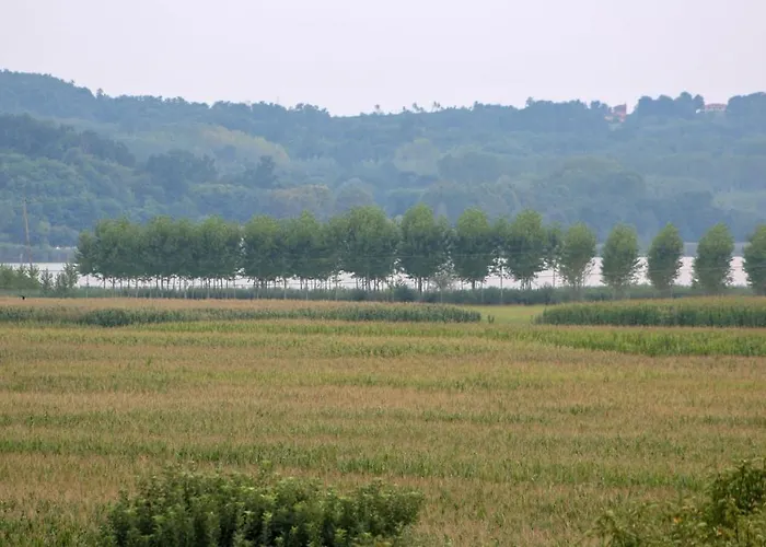 Bed & Breakfast Spighe Paglia E Girasole 4*