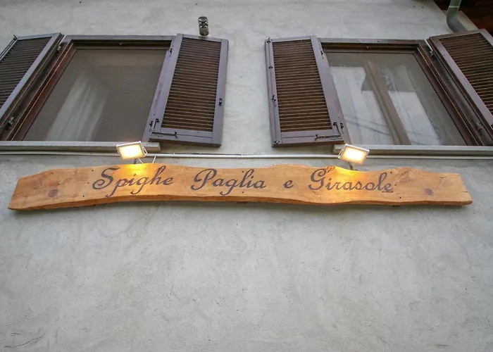 Spighe Paglia E Girasole Candia Canavese