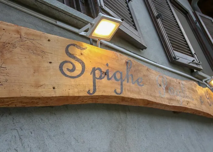 Bed & Breakfast Spighe Paglia E Girasole Candia Canavese