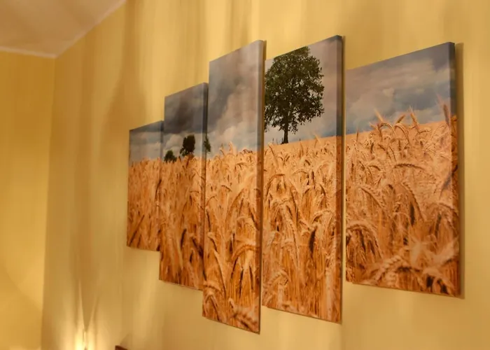 Bed & Breakfast Spighe Paglia E Girasole Candia Canavese
