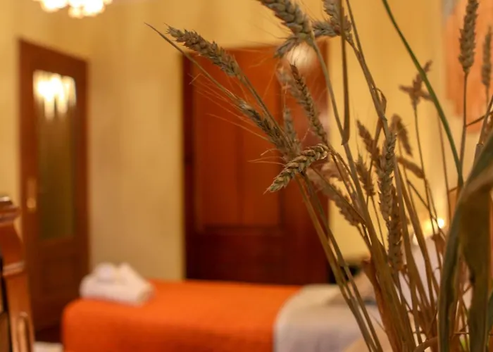 Bed & Breakfast Spighe Paglia E Girasole